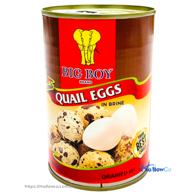 Quail Eggs in Brine - Daily Needs & Others 425gm - Image 1