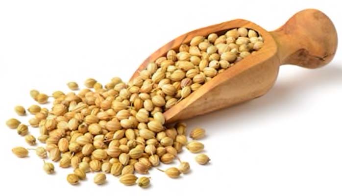 Coriander Seeds - Spices & Premix 454gm - Image 1