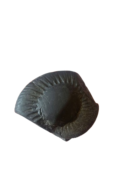 Hand-Picked Nepali Shaligram Stone - Divine Lord Vishnu Fossil for Home Mandir - Festive & Occasions 1pcs - Image 1