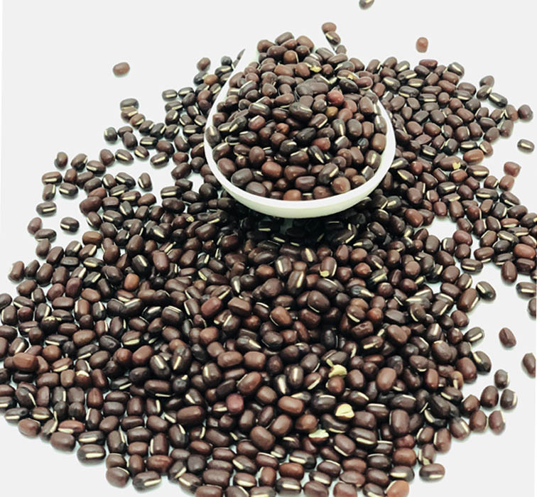 Adzuki Beans - Groceries 1kg