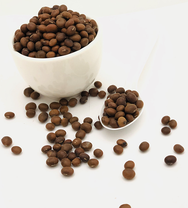 Brown Soya Bean (Khairo Bhatmas)